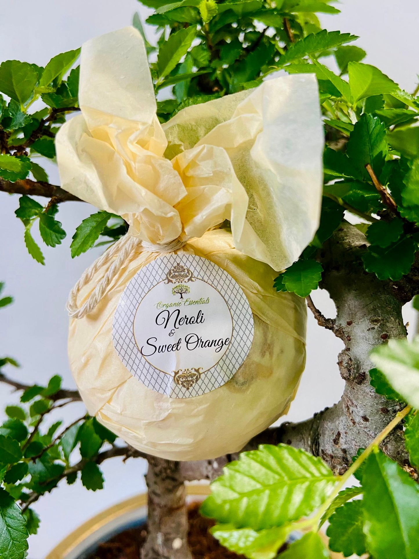 Therapeutic Bath Bomb - Neroli & Sweet Orange Essential Oils-1