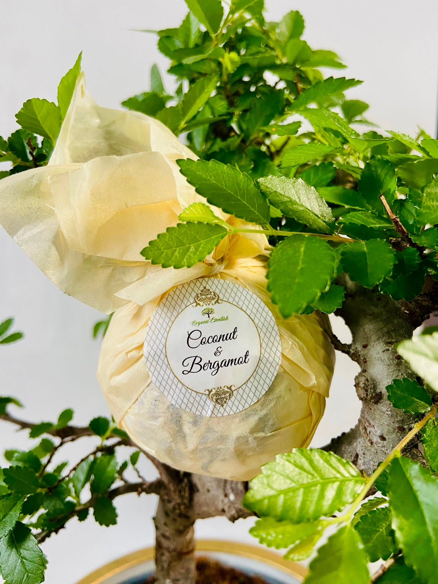 Therapeutic Bath Bomb - Organic Coconut & Bergamot Essential Oils-1